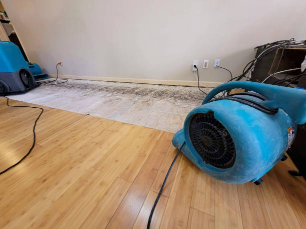 Professional Sewage Cleanup technician working in Chana, IL